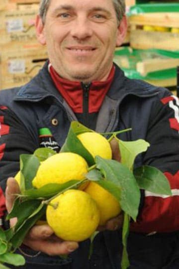 Vendeur sur le carreau exerçant sa profession au Marché de Rungis 